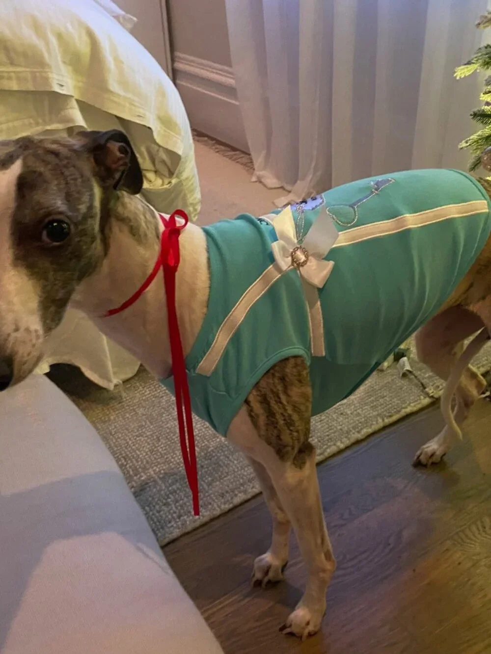 Sniffany's Teal Blue doggie shirt with White Ribbon (Very GOOD condition)